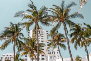 The Luxe Guide to Art Basel 2024