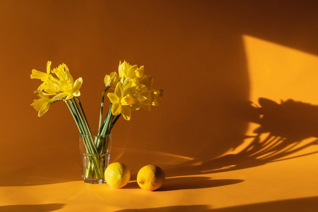 The Art of Bringing the Outside into Your Home