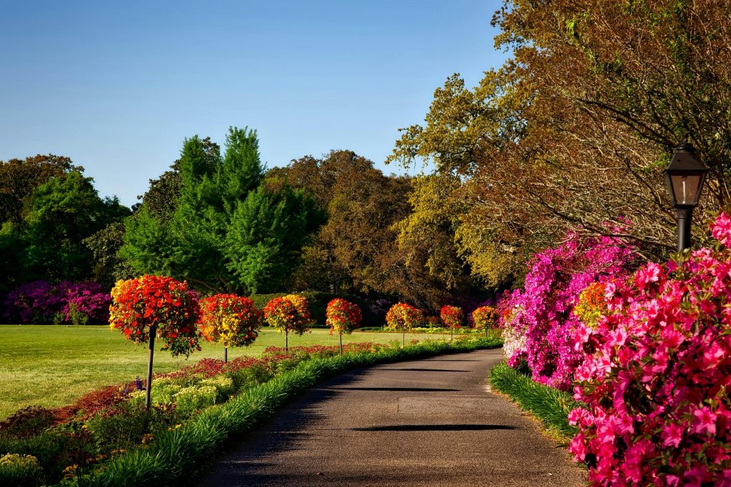 home garden