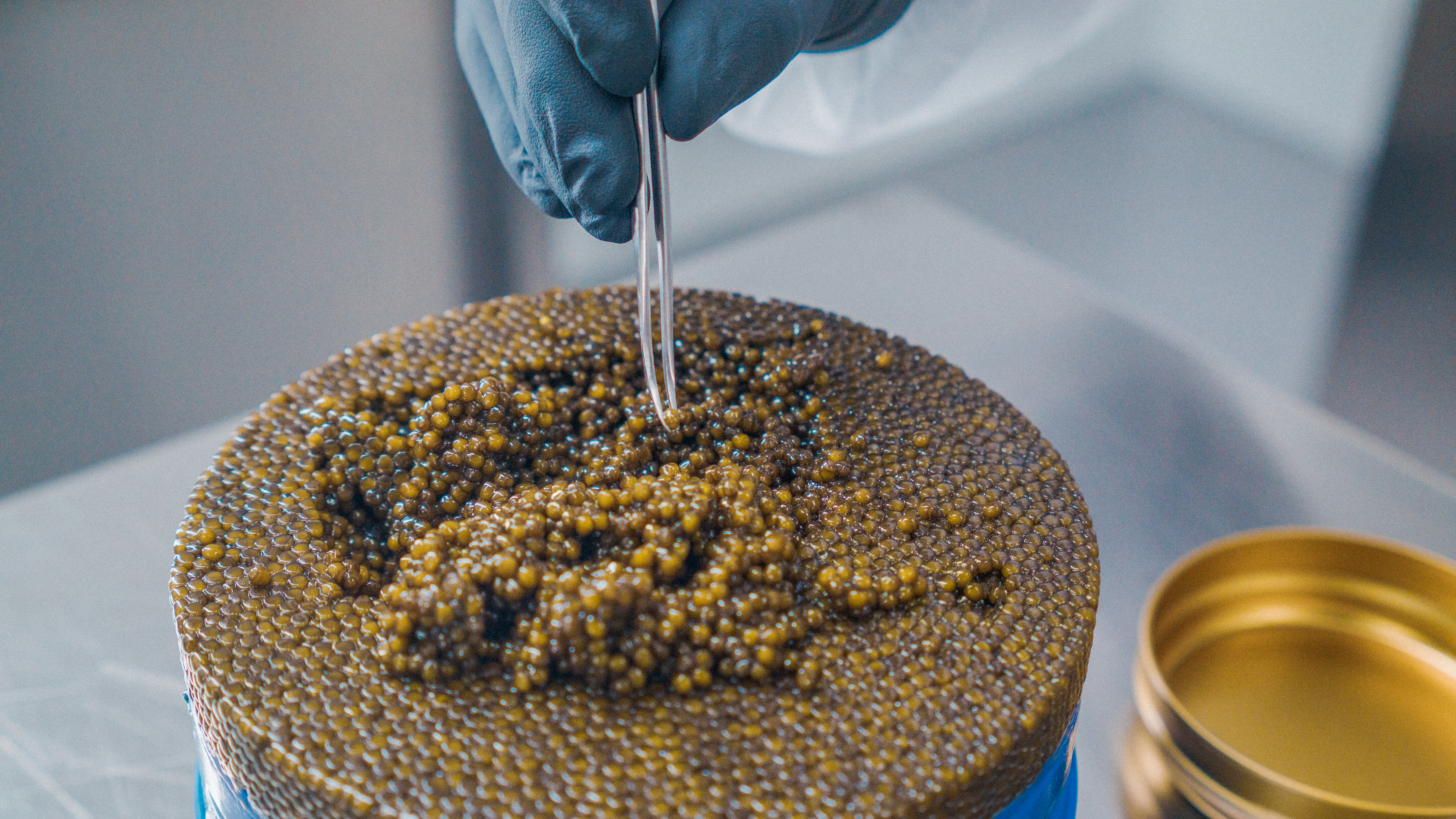 n25 Caviar